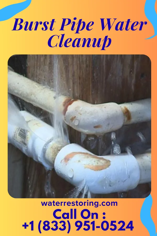Burst Pipe Water Cleanup in Fussels Corner, FL