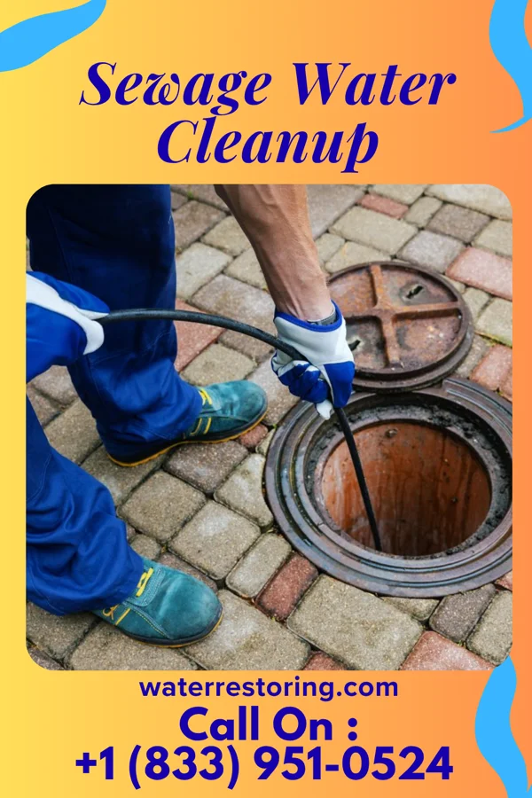 Sewage Water Cleanup in Fussels Corner, FL